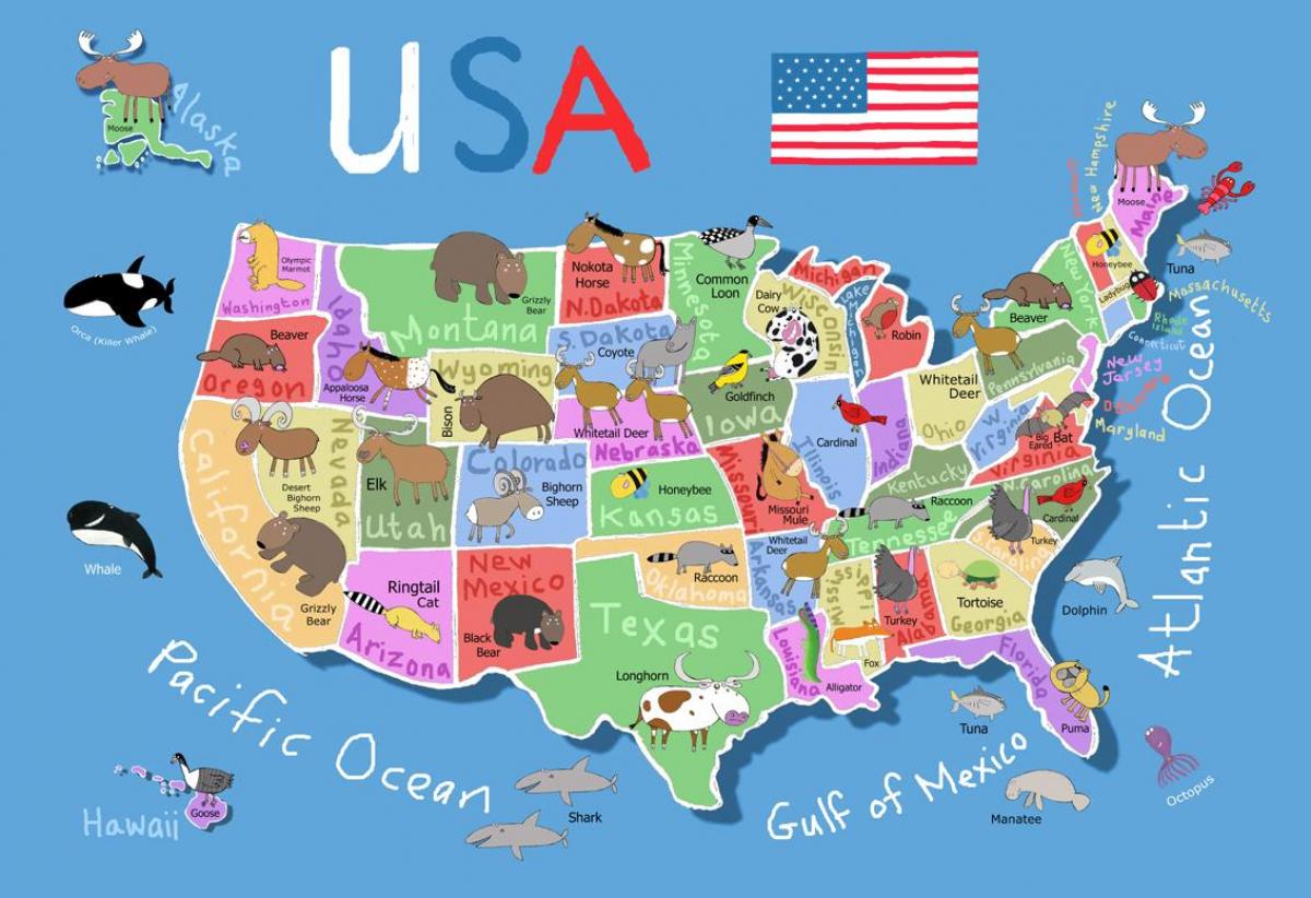 carte des États-unis pour les enfants