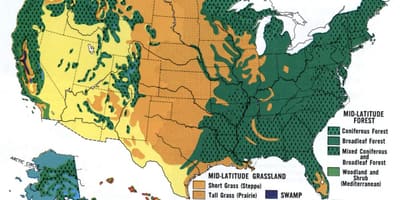 Carte des états-unis forêts
